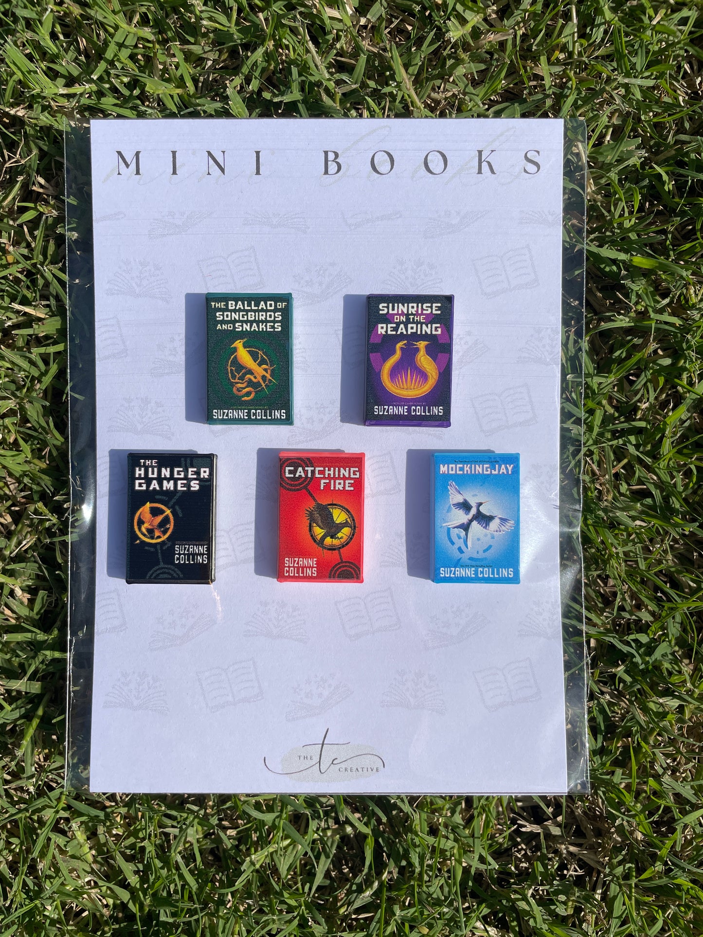 Mini Books: Young Adult