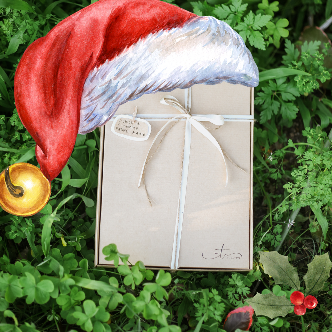 12 Days of Christmas Book Box