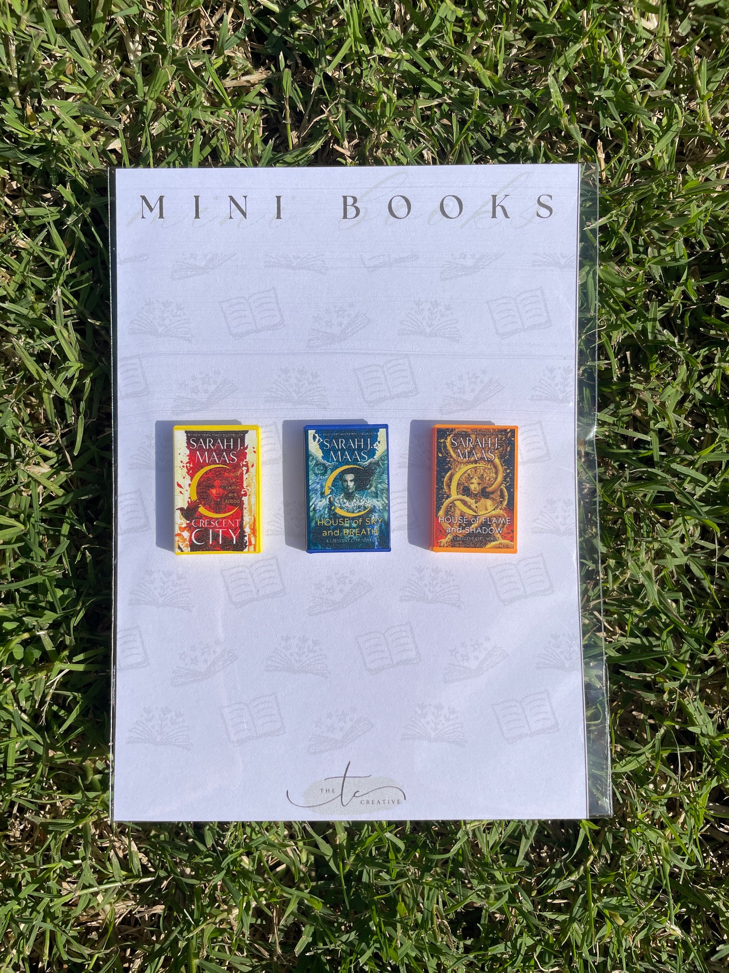 Mini Books: Fantasy