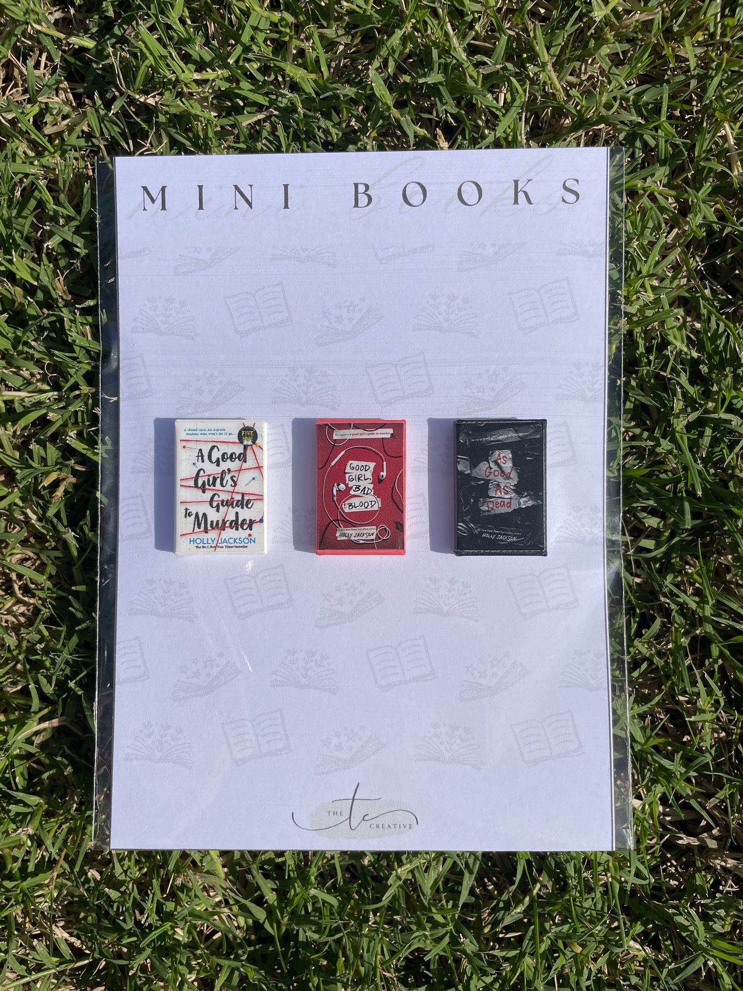 Mini Books: Young Adult