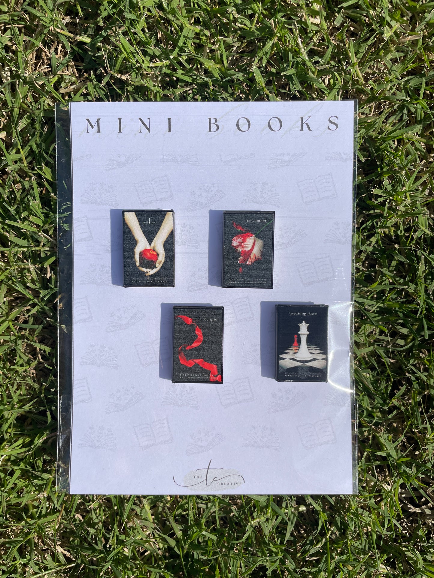 Mini Books: Young Adult