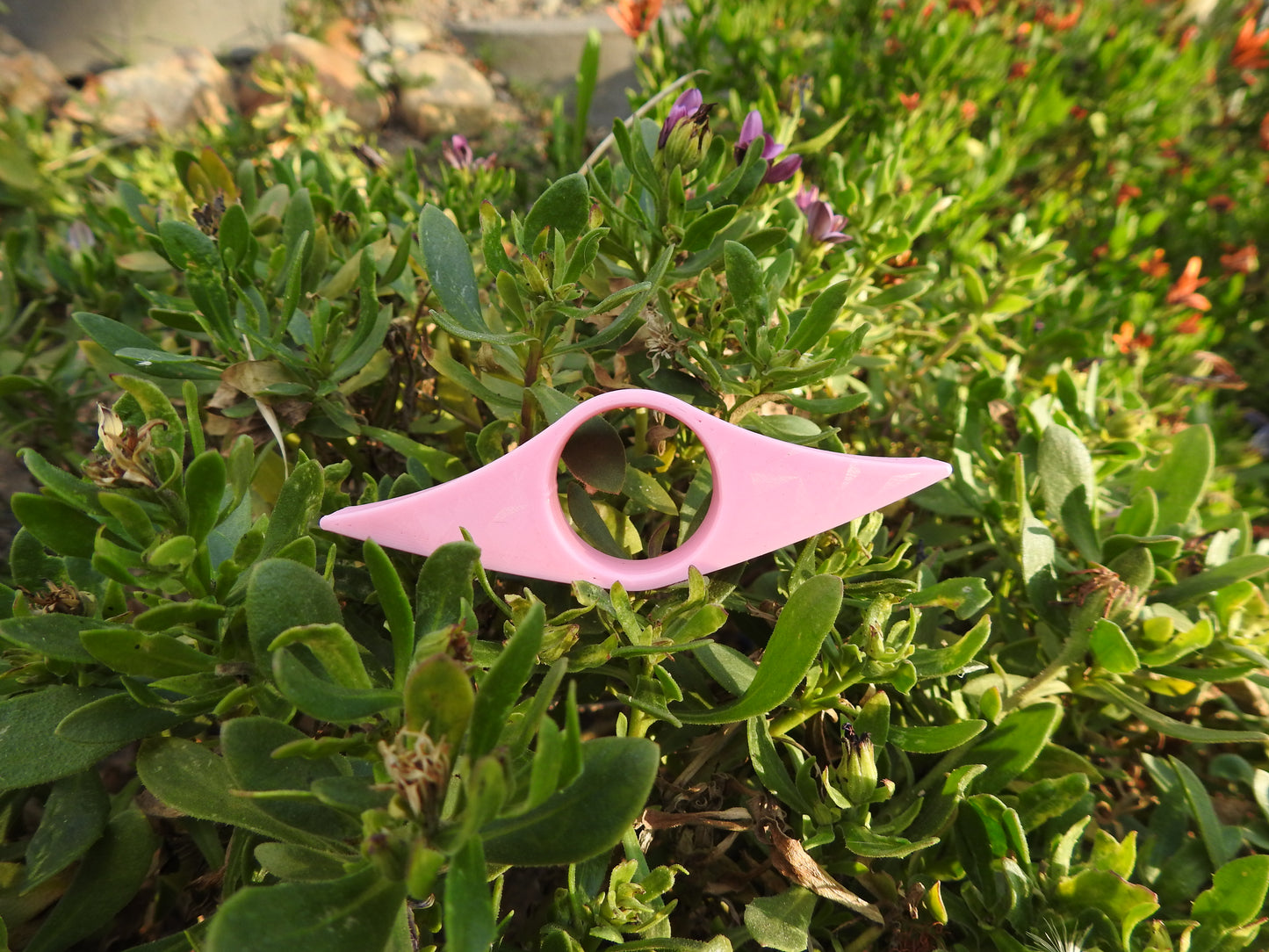 Thumb Book Holder