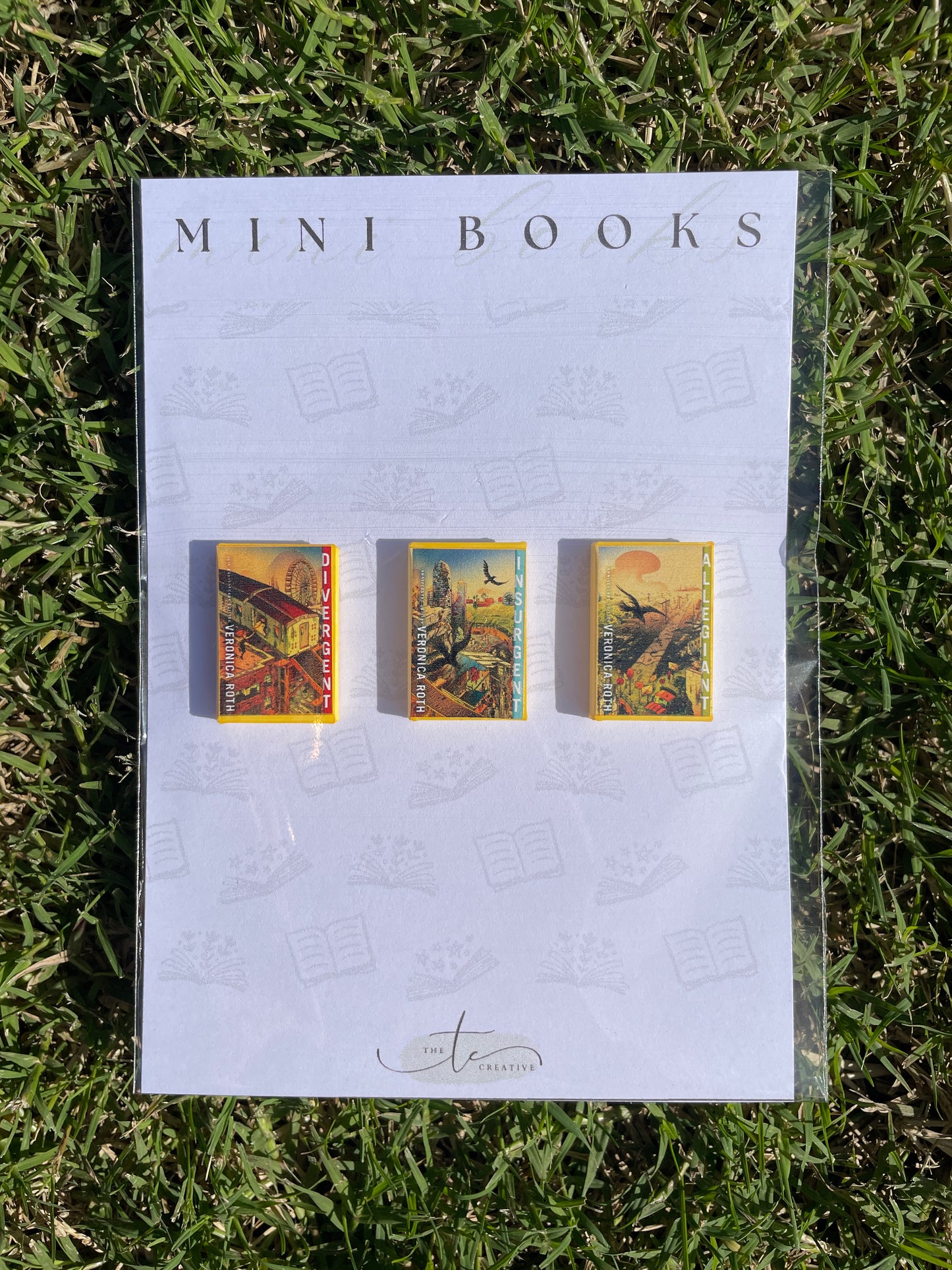 Mini Books: Young Adult